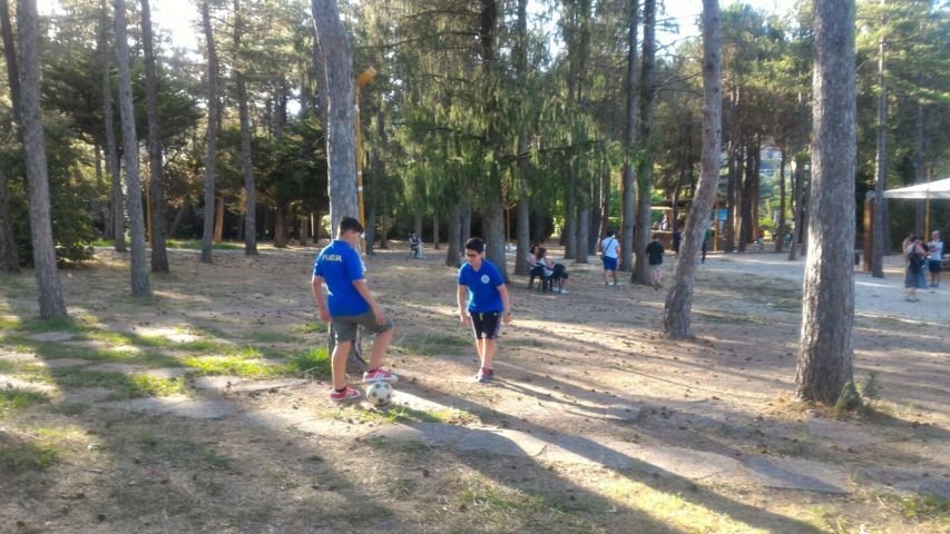 photo120.jpg