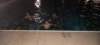 whatsappimage20220708at003722_small.jpg