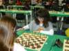 p1010690_small.jpg