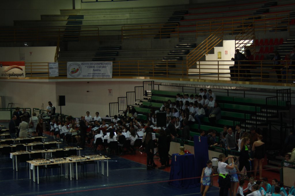 photo11.jpg