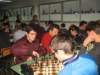 img_2368_small.jpg