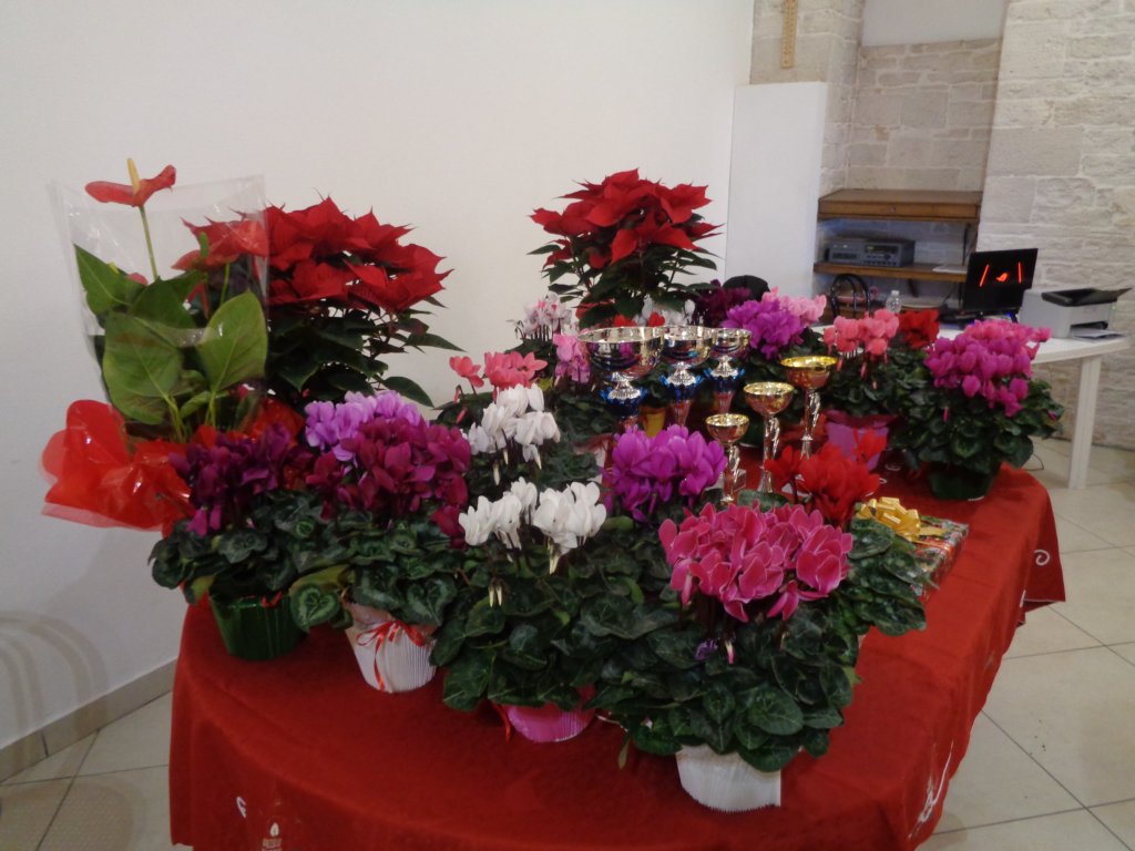 dsc00834.jpg