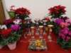 dsc00835_small.jpg