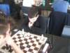 dscf8494_small.jpg